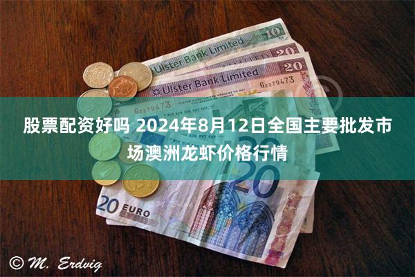 股票配资好吗 2024年8月12日全国主要批发市场澳洲龙虾价格行情