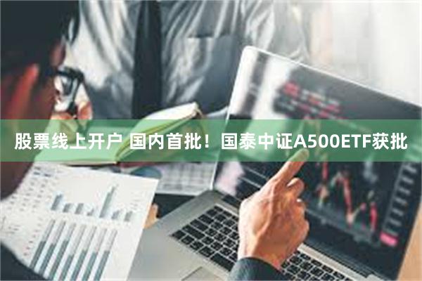 股票线上开户 国内首批！国泰中证A500ETF获批