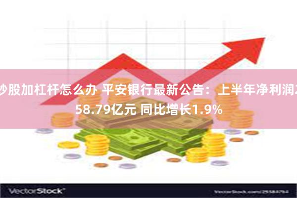 炒股加杠杆怎么办 平安银行最新公告：上半年净利润258.79亿元 同比增长1.9%