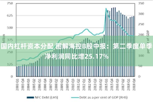 国内杠杆资本分配 图解海控B股中报：第二季度单季净利润同比增25.17%