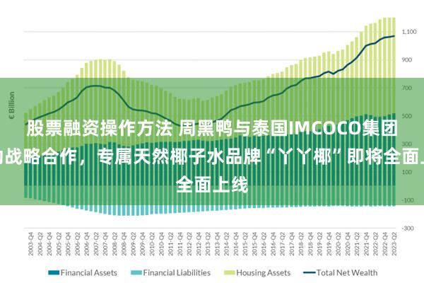 股票融资操作方法 周黑鸭与泰国IMCOCO集团启动战略合作，专属天然椰子水品牌“丫丫椰”即将全面上线